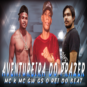 Aventureira do Prazer (feat. MC GW) (Remix)
