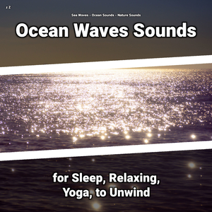 Ocean Sounds