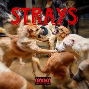 Strays