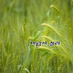 바람에 실려