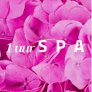 Rustgevende atmosfeer