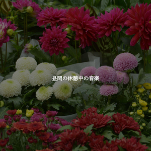 Uplifting Music for Dream