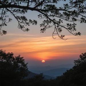 真生活 (Cover Kotoha & 案山子)