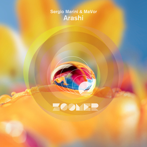 Arashi (Extended Mix)