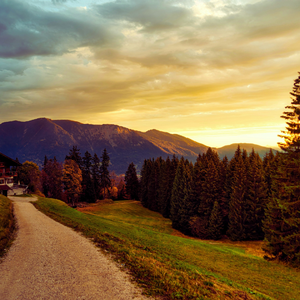 "FREE""Cross""马思维"TYPE BEAT