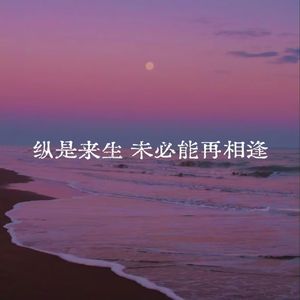 纵是来生未必能再相逢
