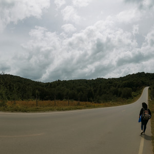 El Camino