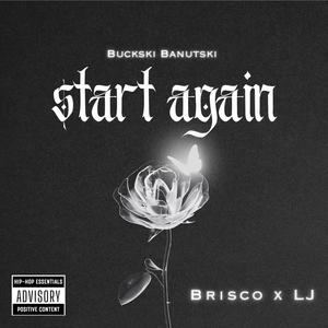 Start Again (feat. Brisco & Lj Da Singer)