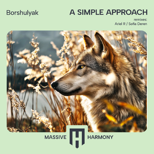 Approach (Ariel R Deep Remix)