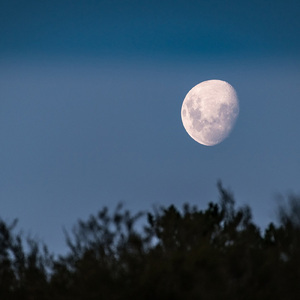 ヒーリング-心が落ち着く音楽- (海)