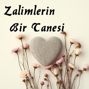 Artık yeter inan aşkıma (thmmix)