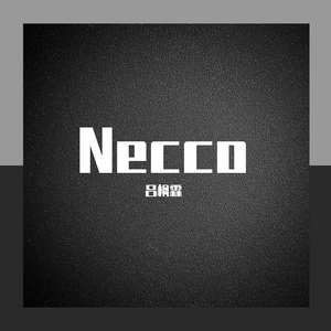 总算我们也爱过