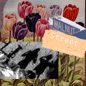 Walnut Street