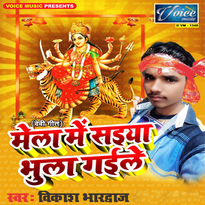 Mela Mein Saiyan Bhula Gaile