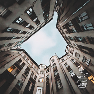 Не вспоминай