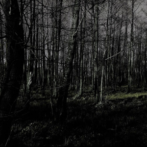 Put My Body out of Its Misery