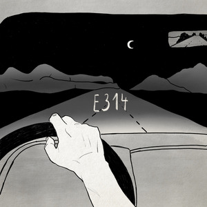 E314