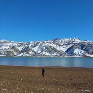 Dile Dolandı Aşk