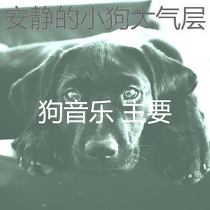 一尘不染小狗印象数