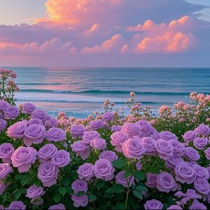 浮生追光的旅人