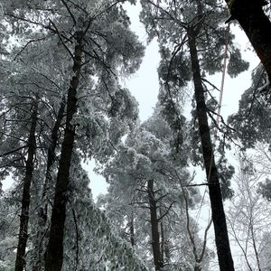 向左 朝右(Prod EVOMUSIC )