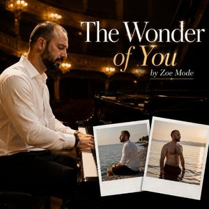The Wonder Of You