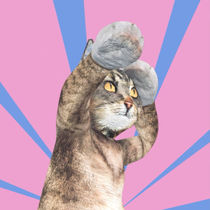 F.U（Prod by Mocookie）