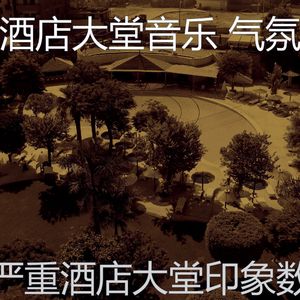 微妙的酒店酒吧心情