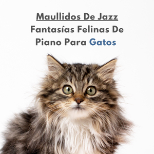 Groove Del Gato