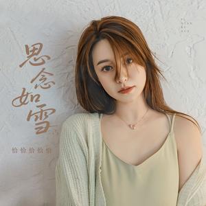 思念如雪（DJ铁柱版）