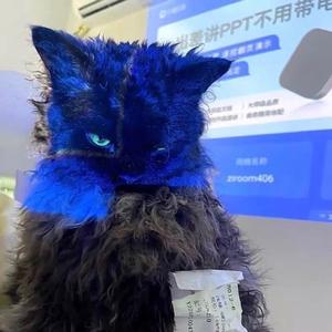 只对你有感觉