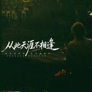 从此天涯再也不相逢