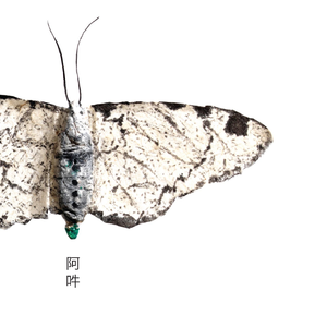 Haru (feat. Sakamoto)