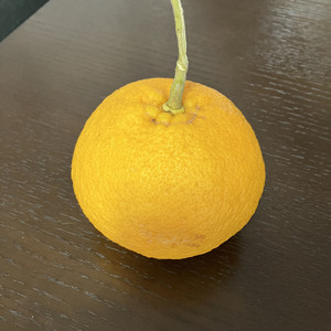 諦め
