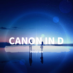 卡农Galloway改编