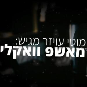 מאשפ ווקאלי