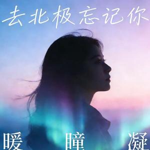 去北极忘记你