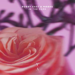 In The Dark (Extended Mix)