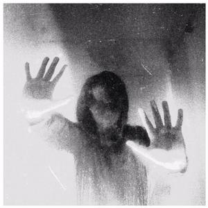 The Harm and the Shame (feat. everestdidthis)