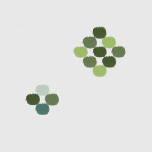 rhizoids