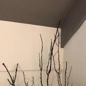 Come Around Me（slowed）