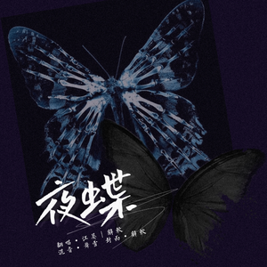 夜蝶