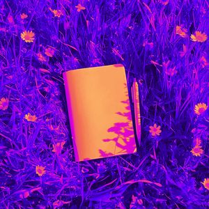 Речной аэропорт