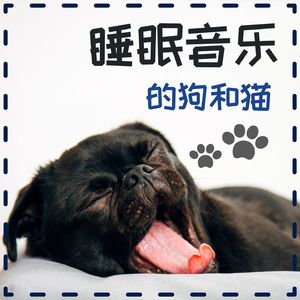 动物睡眠