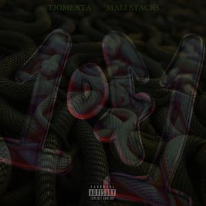 1 of 1 (feat. Mali Stacks)