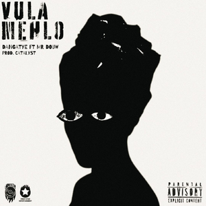 Vula Mehlo (feat. Mr. Douw)