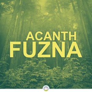 Fuzna (Original Mix)