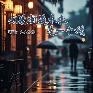 如果相遇本来是一个错