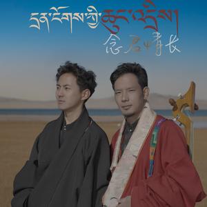 念君情长伴奏.wav