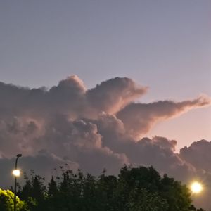 双栖动物（cover 韦礼安）